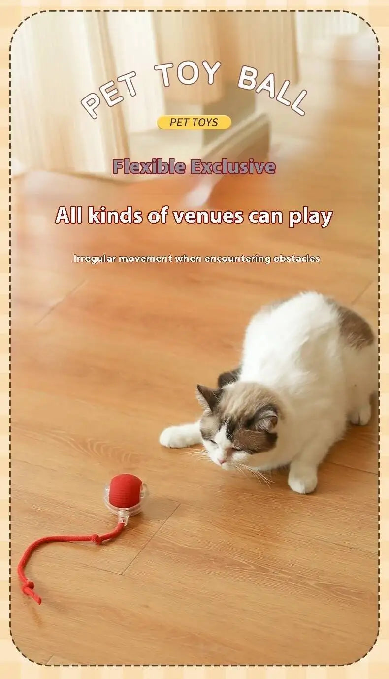 Smart Dog Toy Ball Electronic Interactive Pet Toy Moving Ball USB Automatic Moving Jumping Bouncing