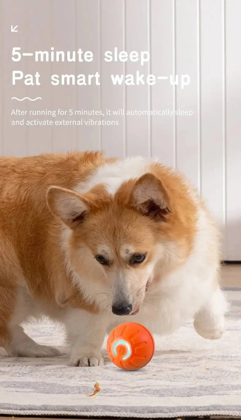 Smart Dog Toy Ball Electronic Interactive Pet Toy Moving Ball USB Automatic Moving Jumping Bouncing